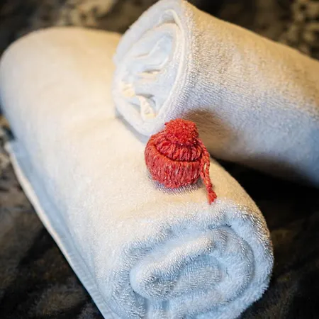Maison d'hôtes Geraniums Et Neige Fraiche, Avec De Gamme, Balneo Massante Et Sauna Prives *
